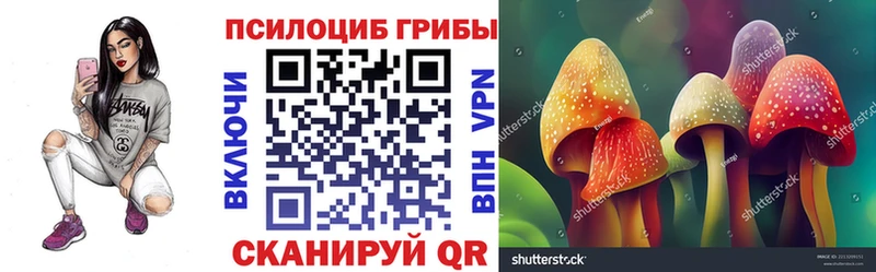 Купить закладки  Электросталь  Галлюциногенные грибы MAGIC MUSHROOMS 