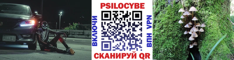 Псилоцибиновые грибы прущие грибы Электросталь